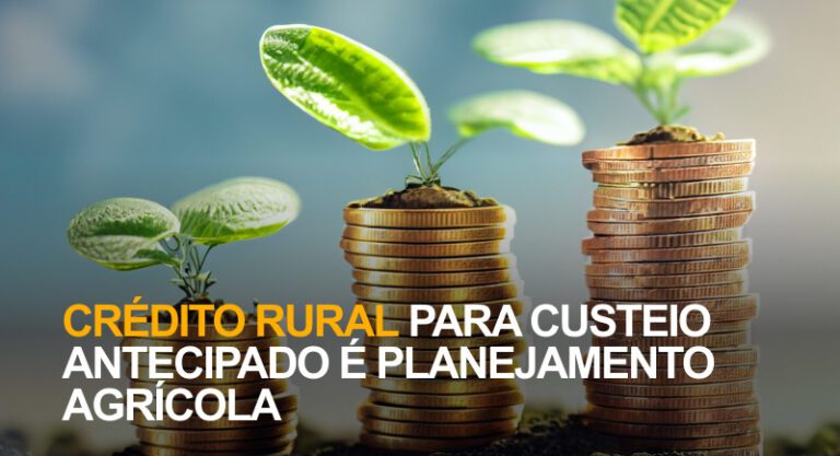 Cr Dito Rural Para Custeio Antecipado Planejamento Agr Cola