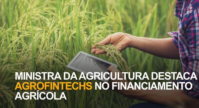 Papel das agrofintechs no financiamento agrícola