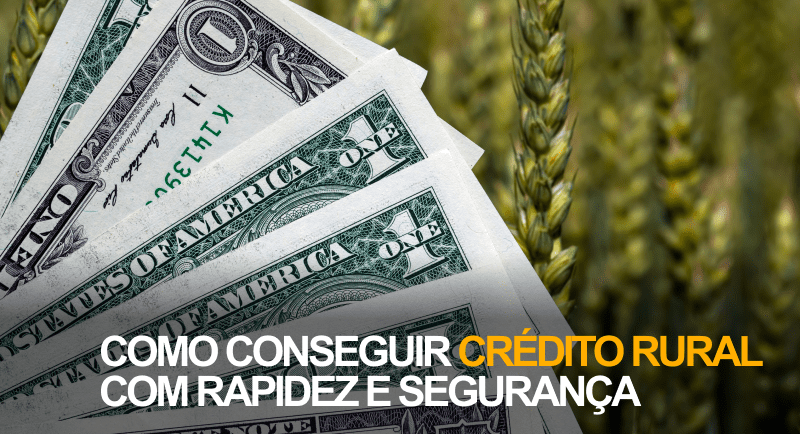 Dólar ilustrando o texto da imagem Descubra como conseguir crédito rural com rapidez e segurança