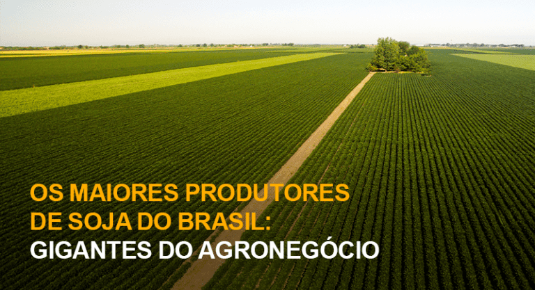 Os Maiores Produtores De Soja Do Brasil Gigantes Do Agronegócio Creditares 0470