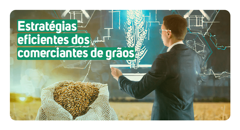 Entenda mais sobre as estratégias eficientes que os comerciantes de grãos praticam no mercado