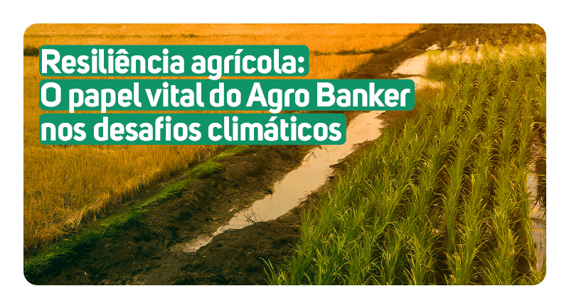 Com o Agro Banker como parceiro para passar por cima de desafios climáticos, os produtores rurais tem mais resiliência para prosperar. Se torne um Agro Banker credenciado à Creditares.