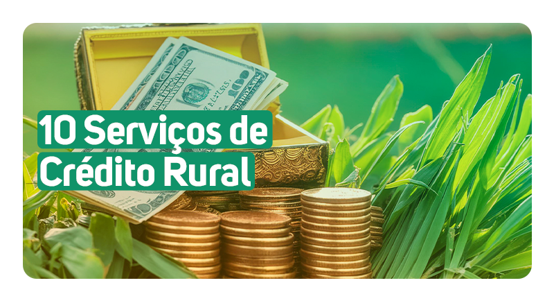 Conheça 10 serviços de crédito rural essenciais para impulsionar o agronegócio, facilitados pela Creditares para produtores rurais brasileiros.