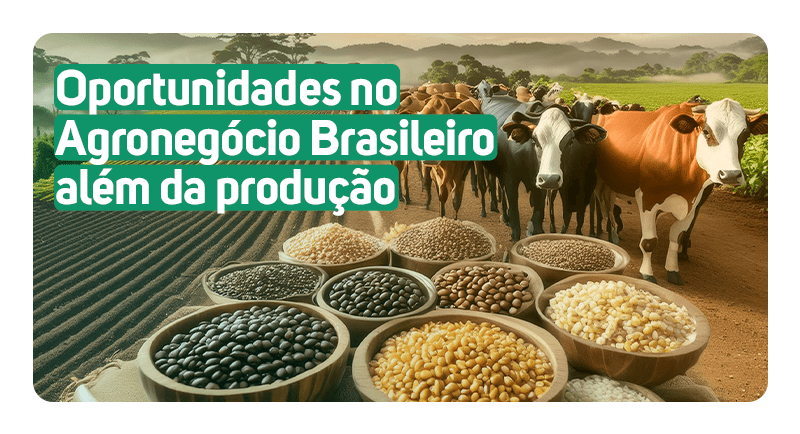 Oportunidades no agronegócio brasileiro além da produção