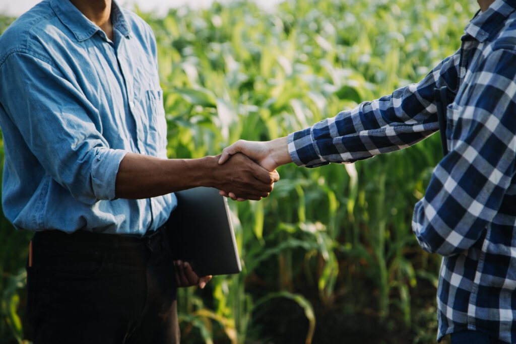 Como funciona o consórcio rural Guia completo para produtores