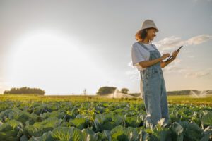 Crédito rural privado a alternativa inteligente para o produtor