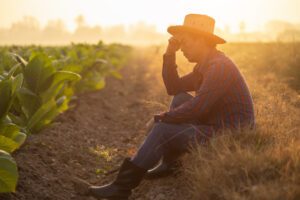 Guia essencial de seguros para produtores rurais como cobrir seus riscos