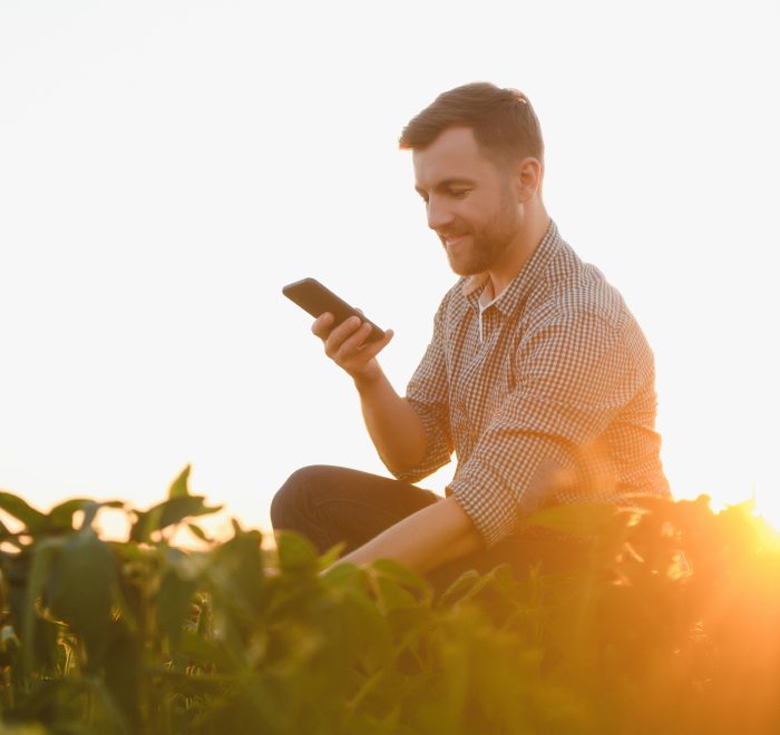 Agricultor no campo de soja, com o celular na mão